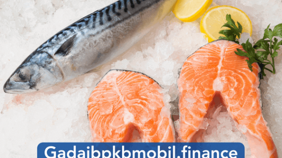 Potensi dan Tantangan Usaha Ternak Ikan Salmon